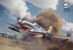 Modele samolotów P-51 Mustang™