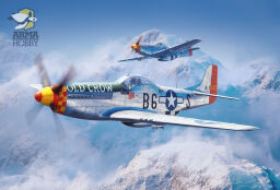Modele samolotów P-51 Mustang™