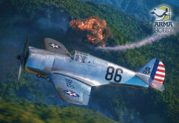 Curtiss Hawk