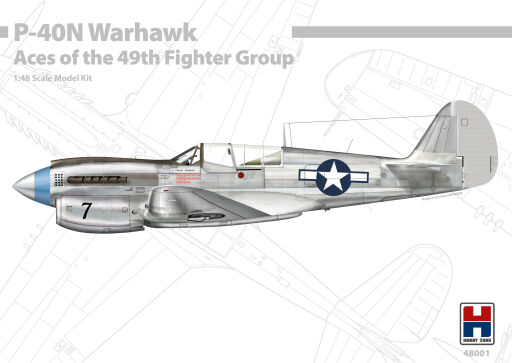 H2K48001 P-40N Warhawk Aces of the 49th Fighter Group ex-Hasegawa Model samolotu do sklejania