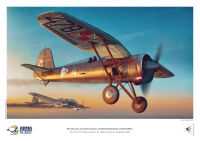 40001-A4 PZL P.11c - plakat A4
